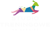Studio Treningowe na Sarniej